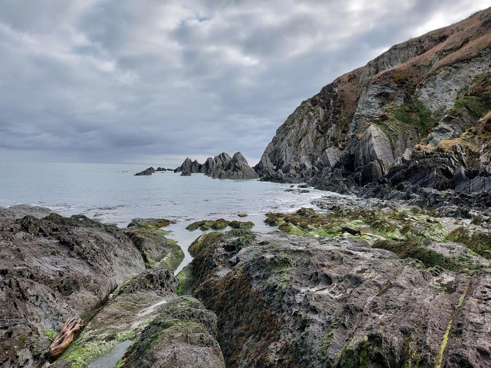 Flat 1 High Tide House, Mortehoe - Beautifully Designed Ground Floor Flat With Sea Views And Garden 외부 사진